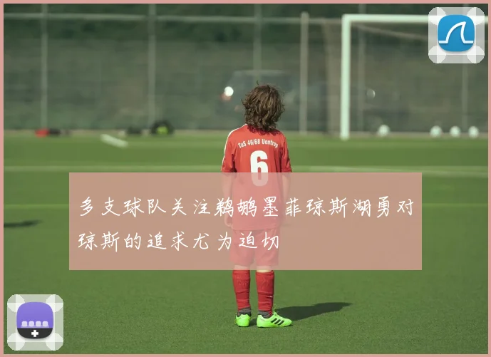 多支球队关注鹈鹕墨菲琼斯湖勇对琼斯的追求尤为迫切